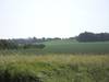 Brie�nitz