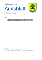 Amtsblatt Nr. 17-2025